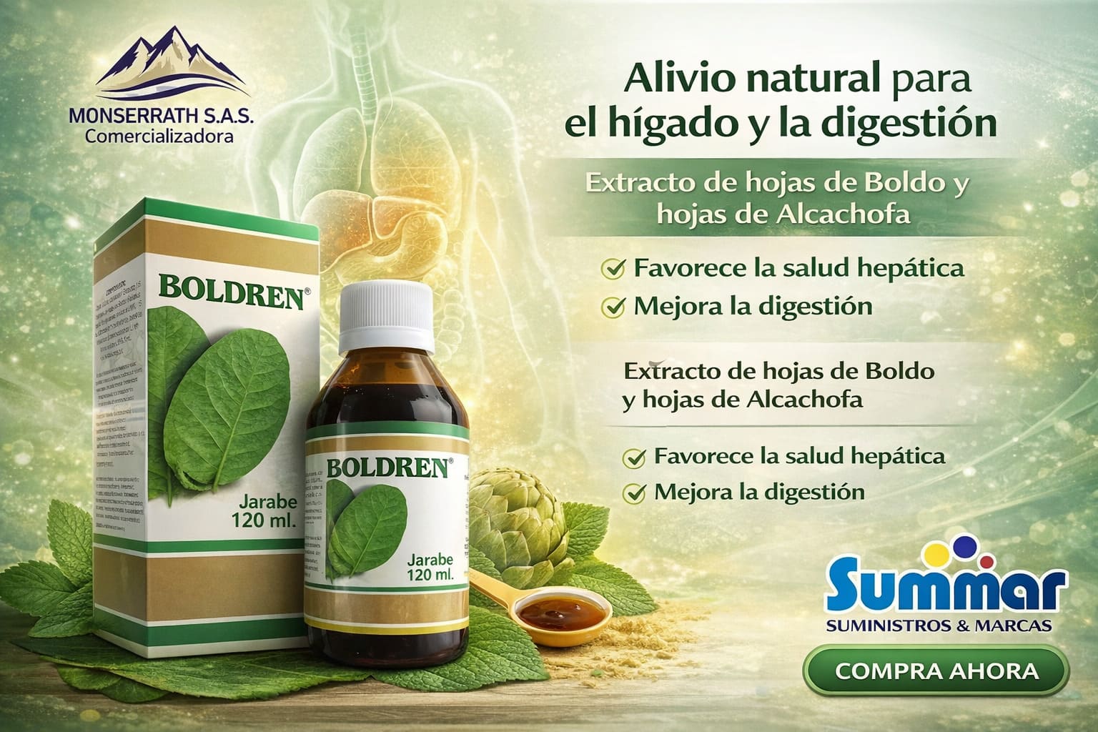 Boldren Jarabe Frasco x 120ml (Extracto de Hohas de Boldo y Hojas de Alcachofa) MONSERRATH