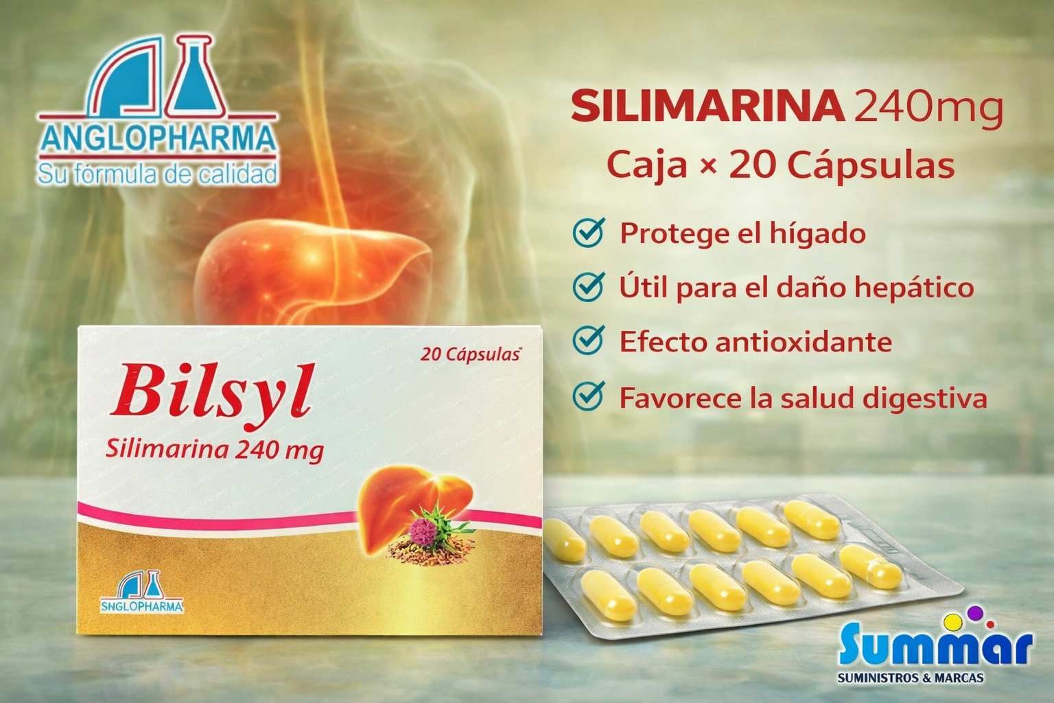 Bilsyl 240mg Caja x 20 Capsulas (Silimarina) ANGLOPHARMA