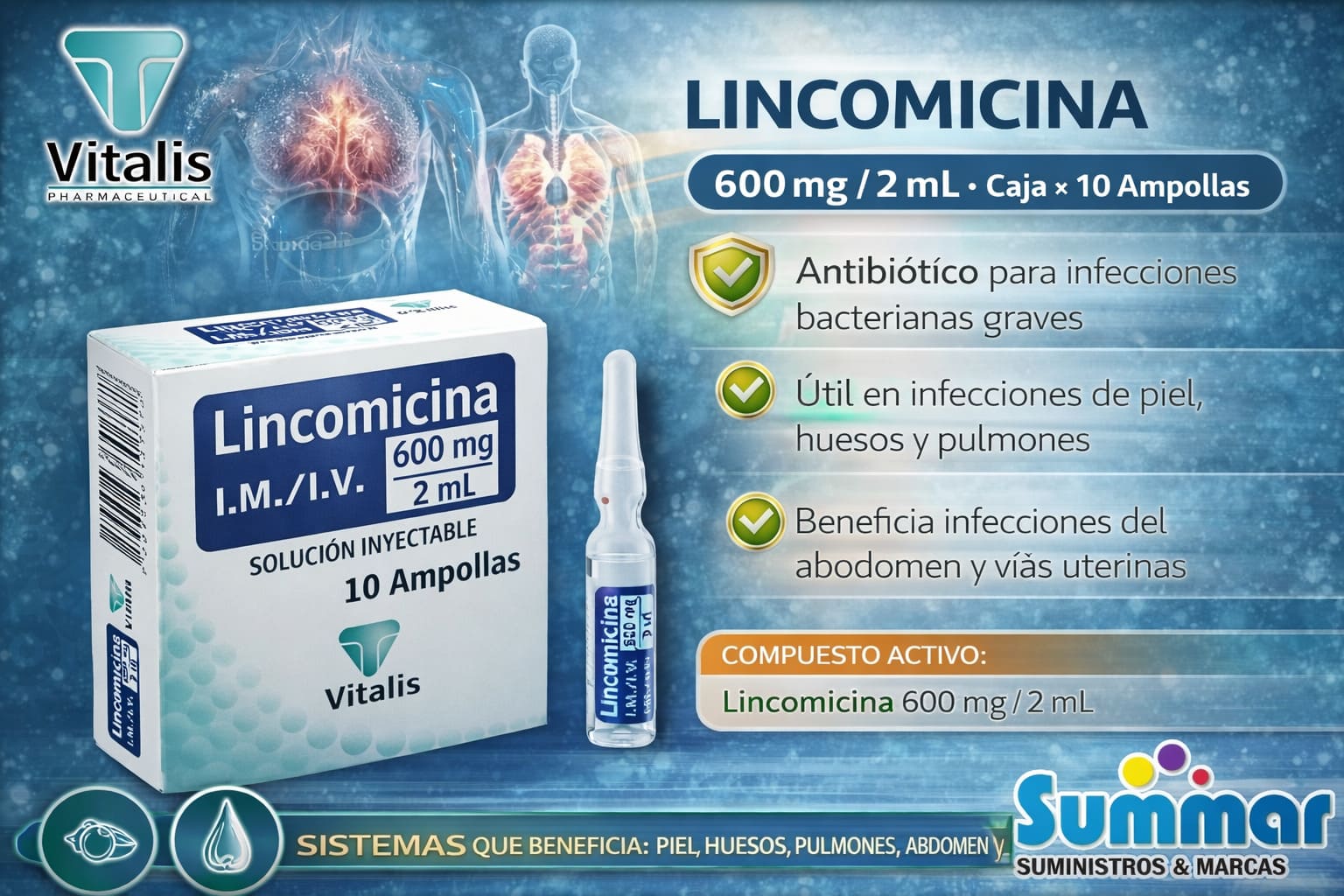 Lincomicina 600mg/2ml Caja x 10 Ampollas VITALIS