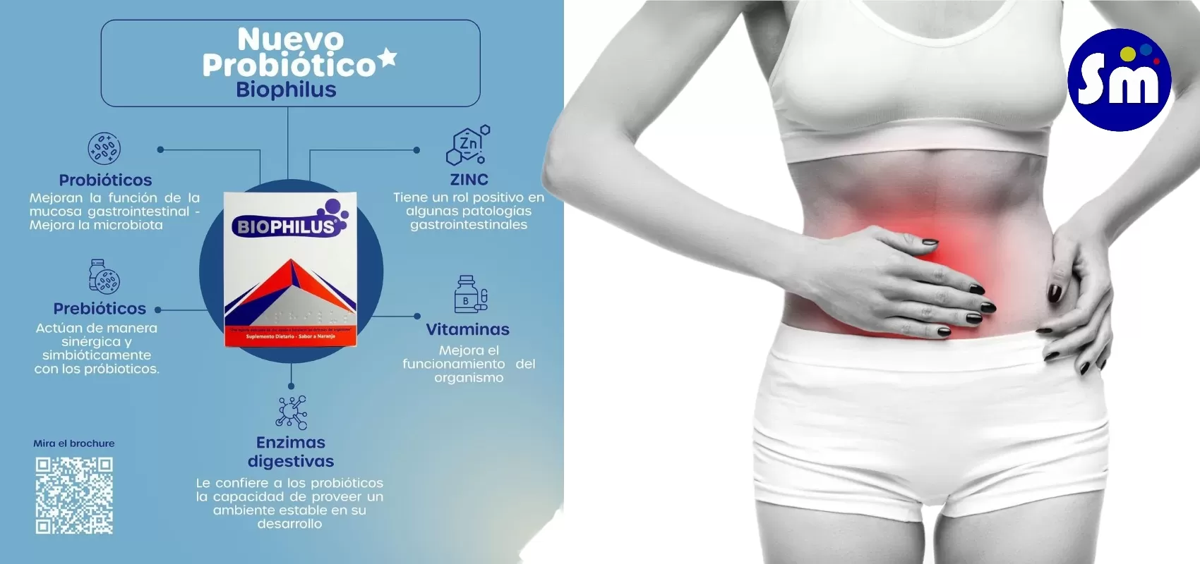 Misión